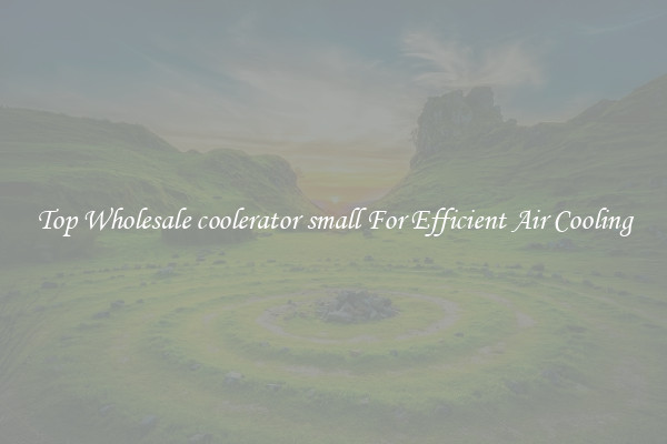 Top Wholesale coolerator small For Efficient Air Cooling