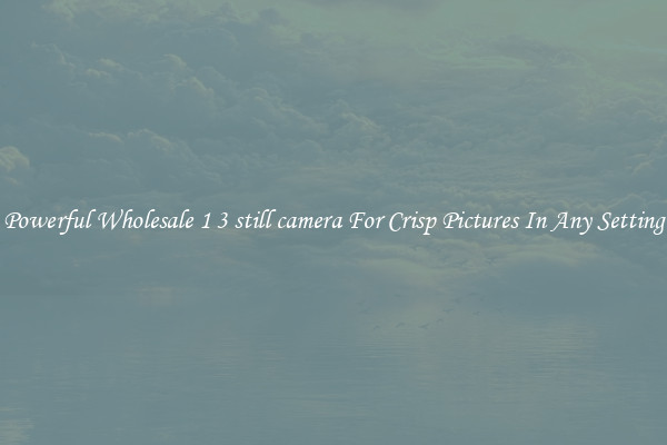 Powerful Wholesale 1 3 still camera For Crisp Pictures In Any Setting