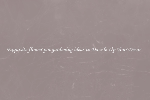 Exquisite flower pot gardening ideas to Dazzle Up Your Décor  