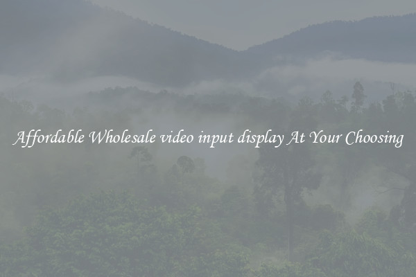 Affordable Wholesale video input display At Your Choosing