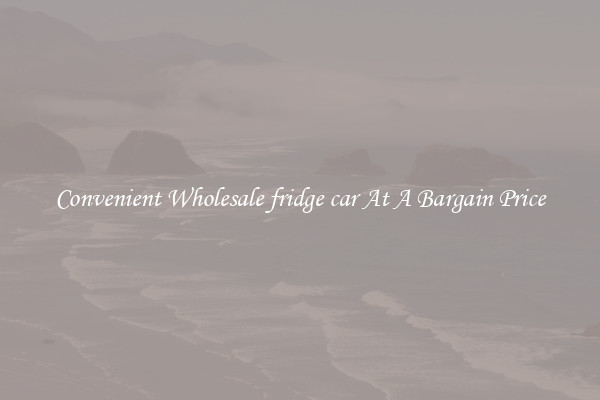 Convenient Wholesale fridge car At A Bargain Price