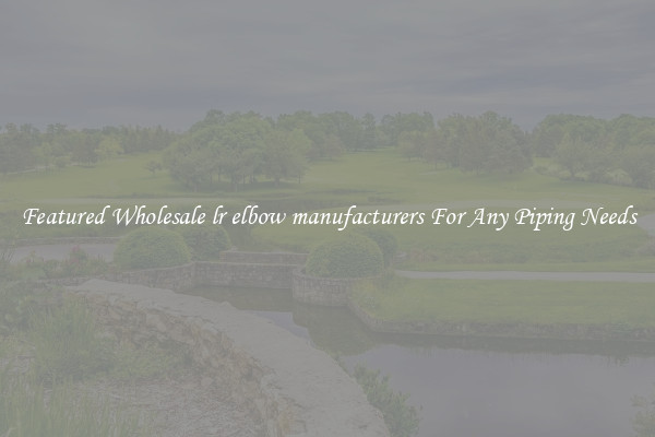 Featured Wholesale lr elbow manufacturers For Any Piping Needs