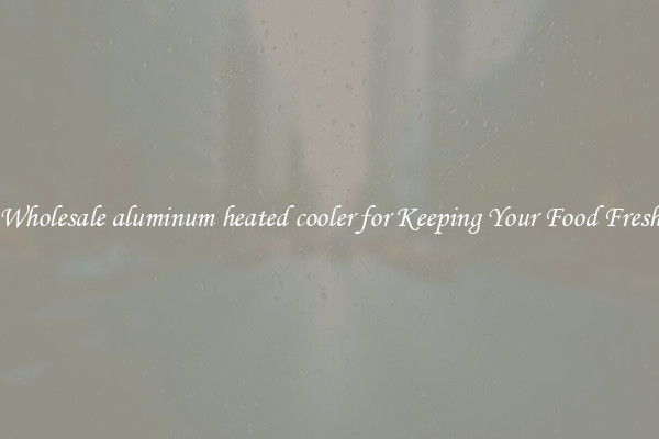 Wholesale aluminum heated cooler for Keeping Your Food Fresh