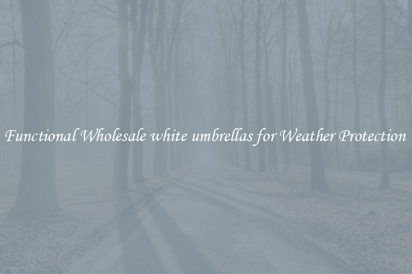 Functional Wholesale white umbrellas for Weather Protection 