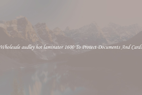 Wholesale audley hot laminator 1600 To Protect Documents And Cards