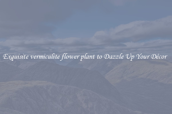 Exquisite vermiculite flower plant to Dazzle Up Your Décor  