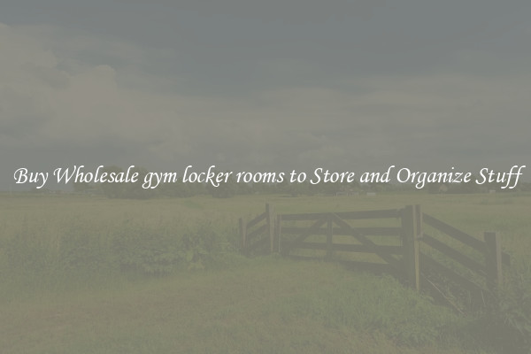 Buy Wholesale gym locker rooms to Store and Organize Stuff