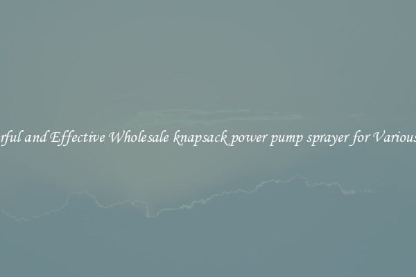 Powerful and Effective Wholesale knapsack power pump sprayer for Various Uses