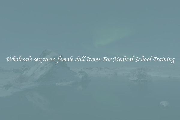 Wholesale sex torso female doll Items For Medical School Training